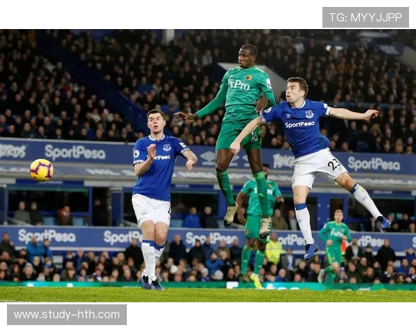 赫尔城俱乐部发展历程与英格兰足球文化的深度融合分析